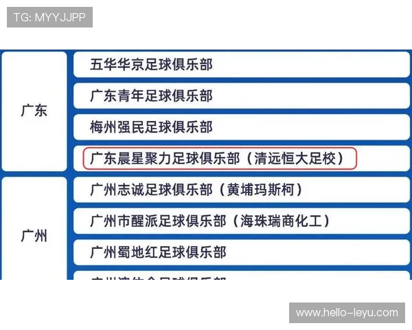 恒大新赛季冲击三冠王阵容调整引球迷热议